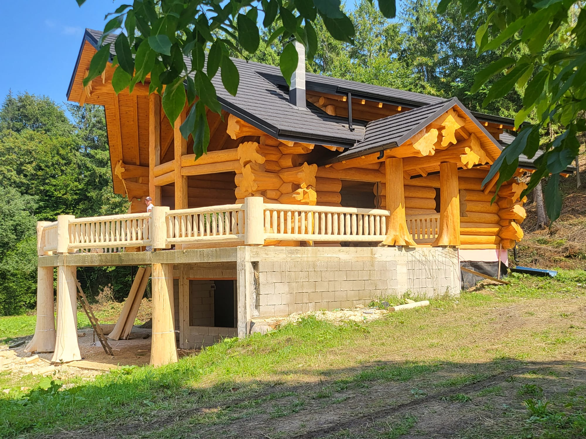 Casă din lemn construită în natură